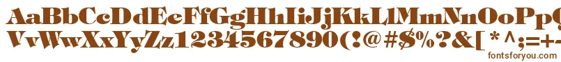 Timpaniheavy Font – Brown Fonts on White Background