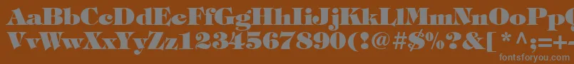 Timpaniheavy Font – Gray Fonts on Brown Background