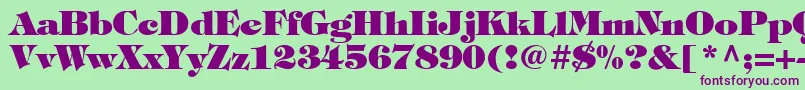 Timpaniheavy Font – Purple Fonts on Green Background