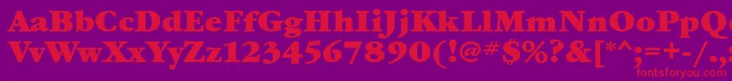 GaramondbookattBold Font – Red Fonts on Purple Background