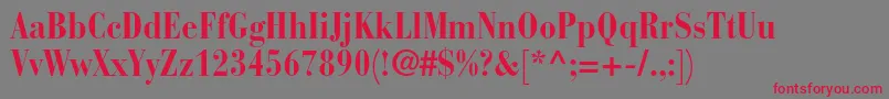 BauerbodonistdBoldcond Font – Red Fonts on Gray Background