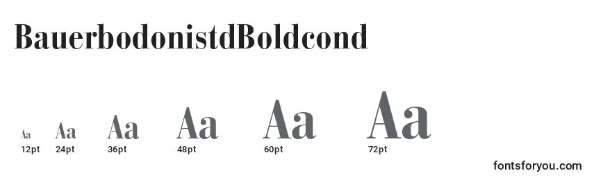 BauerbodonistdBoldcond Font Sizes