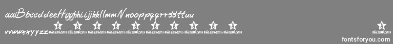 BeernoteTrial-Schriftart – Weiße Schriften auf grauem Hintergrund