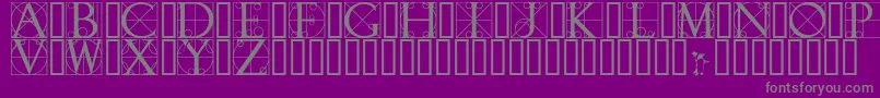フォントWalrodInitials – 紫の背景に灰色の文字