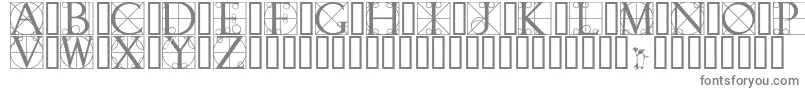 WalrodInitials Font – Gray Fonts