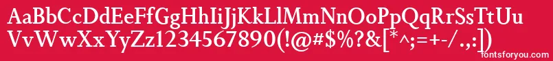 フォントNonsolusMedium – 赤い背景に白い文字