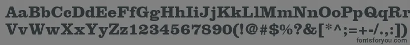 ClarendonLtBold Font – Black Fonts on Gray Background