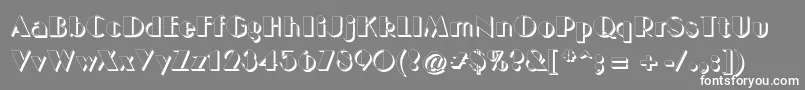 BigcshadNormal Font – White Fonts on Gray Background