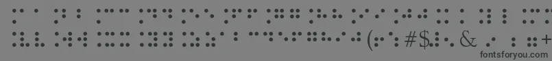 フォントBrailleType – 黒い文字の灰色の背景