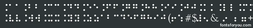 フォントBrailleType – 白い文字