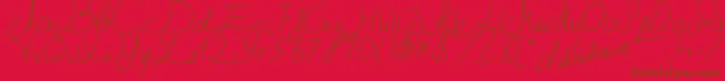 Julliscriptum2 Font – Brown Fonts on Red Background