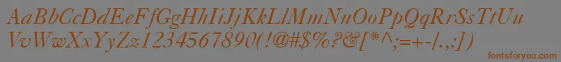 CasablancaItalic Font – Brown Fonts on Gray Background
