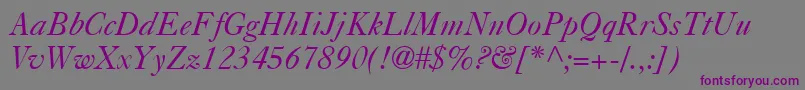 CasablancaItalic Font – Purple Fonts on Gray Background