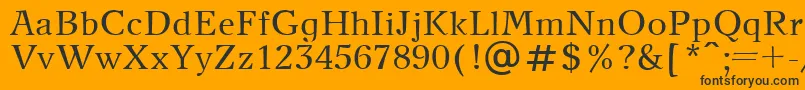 NewJournalPlain-Schriftart – Schwarze Schriften auf orangefarbenem Hintergrund