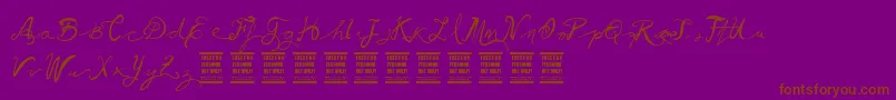 VtksBallerina Font – Brown Fonts on Purple Background