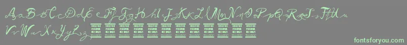 VtksBallerina Font – Green Fonts on Gray Background