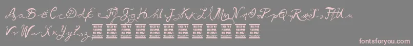 VtksBallerina Font – Pink Fonts on Gray Background