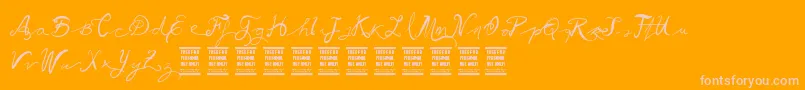 VtksBallerina Font – Pink Fonts on Orange Background