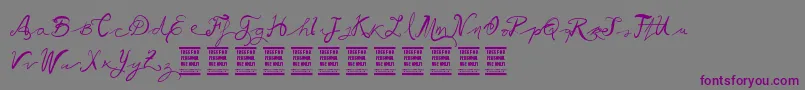 VtksBallerina Font – Purple Fonts on Gray Background