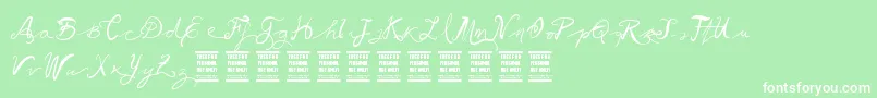 VtksBallerina Font – White Fonts on Green Background