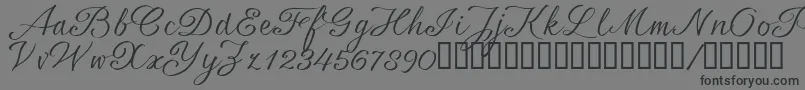 SrsaBT Font – Black Fonts on Gray Background