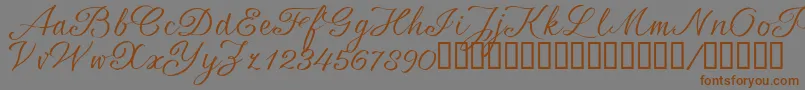 SrsaBT Font – Brown Fonts on Gray Background