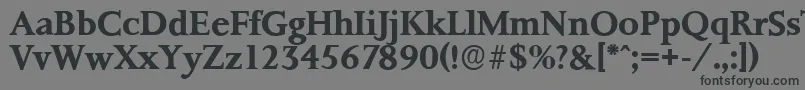 PalermoserialBold Font – Black Fonts on Gray Background