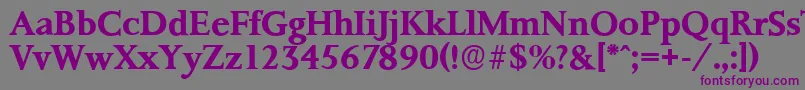 Шрифт PalermoserialBold – фиолетовые шрифты на сером фоне
