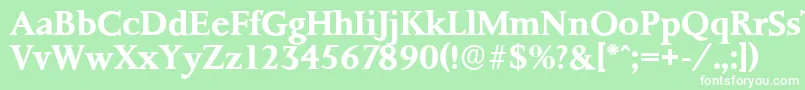 PalermoserialBold Font – White Fonts on Green Background