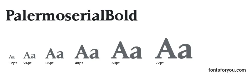 Размеры шрифта PalermoserialBold