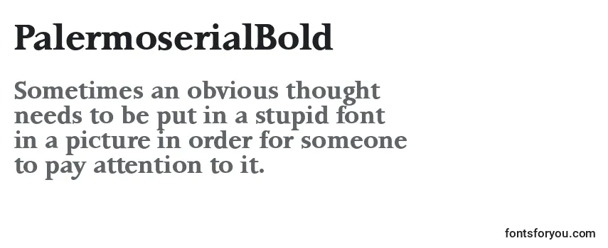 Review of the PalermoserialBold Font