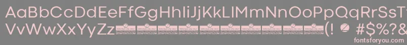 CodecColdRegularTrial Font – Pink Fonts on Gray Background