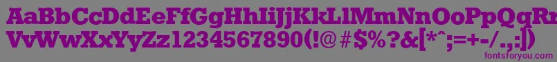 StaffordserialXboldRegular Font – Purple Fonts on Gray Background