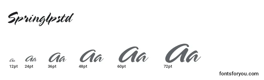 Springlpstd Font Sizes