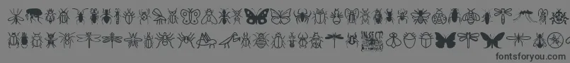 InsectIcons-Schriftart – Schwarze Schriften auf grauem Hintergrund