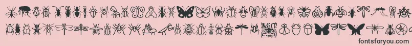 Fonte InsectIcons – fontes pretas em um fundo rosa