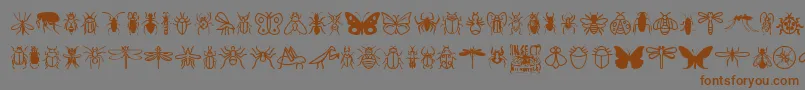 InsectIcons Font – Brown Fonts on Gray Background