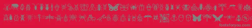 InsectIcons Font – Gray Fonts on Red Background
