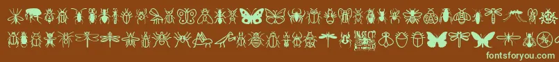 InsectIcons-Schriftart – Grüne Schriften auf braunem Hintergrund