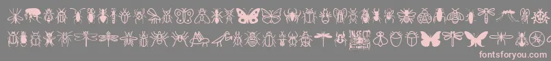 InsectIcons-Schriftart – Rosa Schriften auf grauem Hintergrund