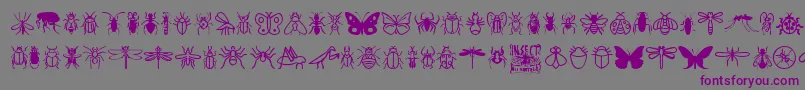フォントInsectIcons – 紫色のフォント、灰色の背景