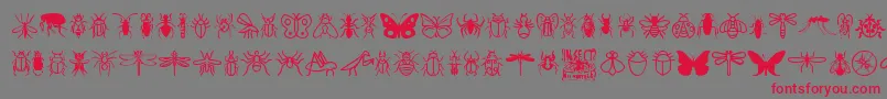 Police InsectIcons – polices rouges sur fond gris