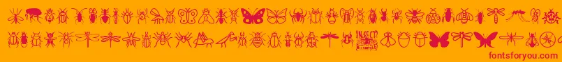 Police InsectIcons – polices rouges sur fond orange
