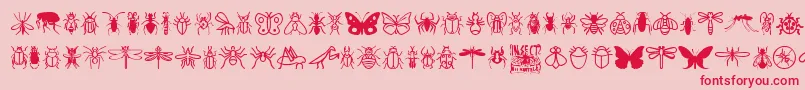 フォントInsectIcons – ピンクの背景に赤い文字