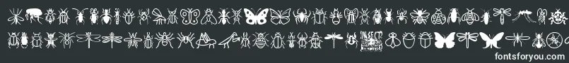 InsectIcons Font – White Fonts