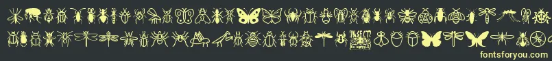Czcionka InsectIcons – żółte czcionki na czarnym tle
