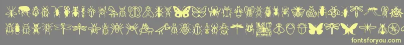 InsectIcons-Schriftart – Gelbe Schriften auf grauem Hintergrund