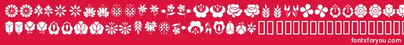 Kalof Font – White Fonts on Red Background