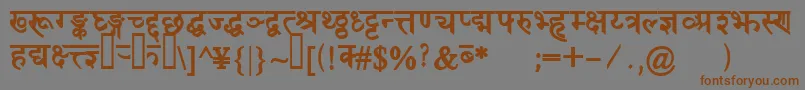 フォントDevanagaridelhisskBold – 茶色の文字が灰色の背景にあります。