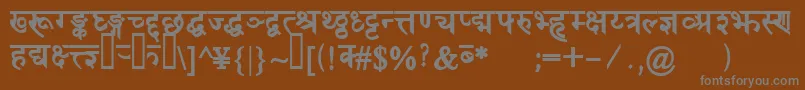 DevanagaridelhisskBold Font – Gray Fonts on Brown Background